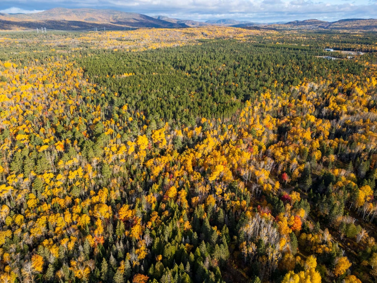 Photo aérienne — Ch. des Plateaux, Saint-Siméon