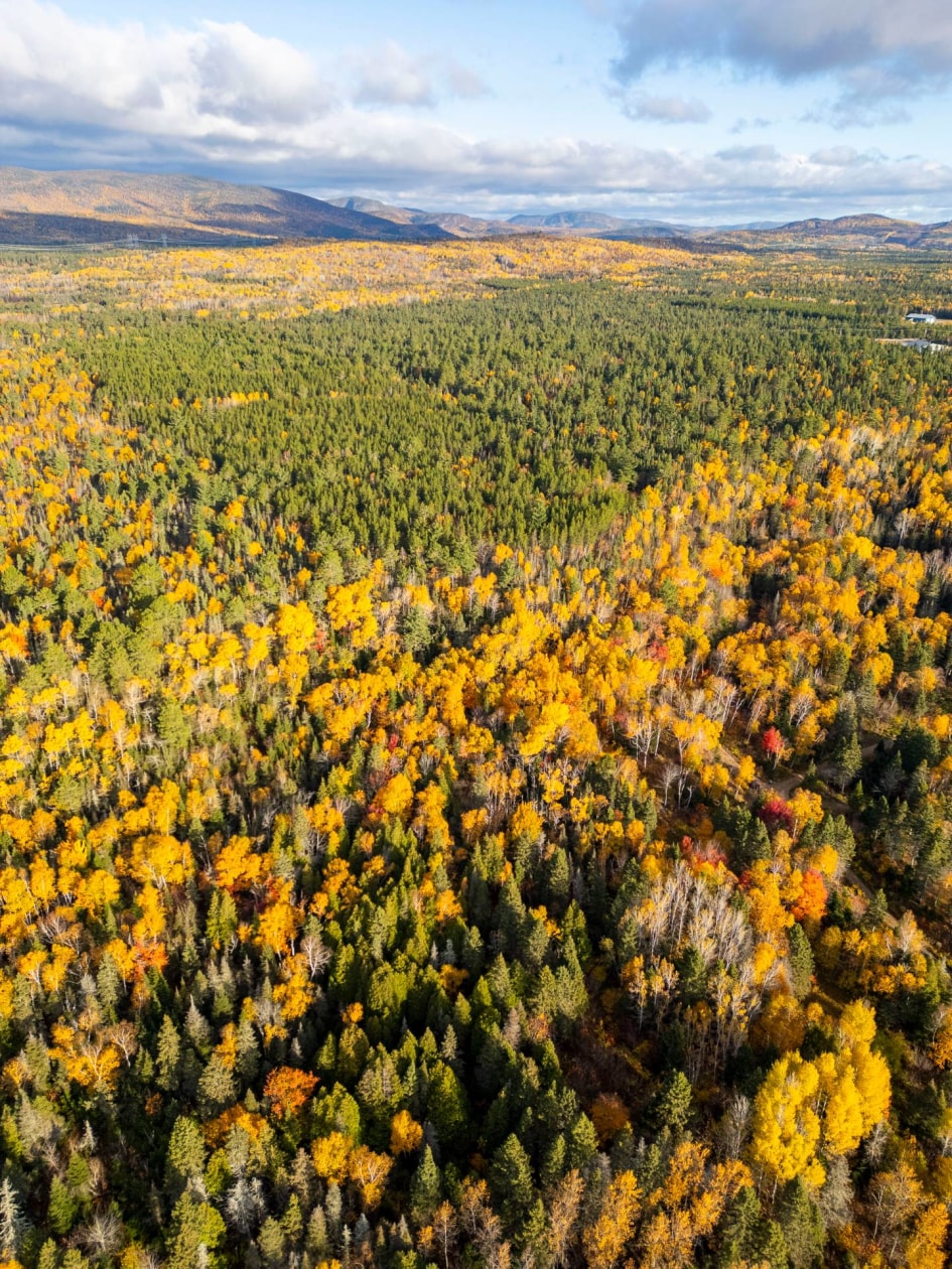 Photo aérienne — Ch. des Plateaux, Saint-Siméon
