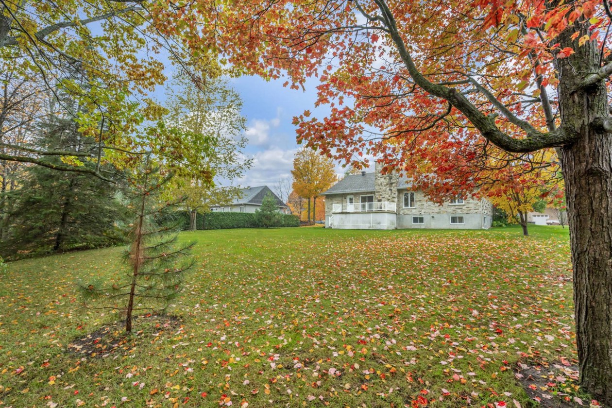 Cour — 724 Rue Davie-Anderson, Lévis