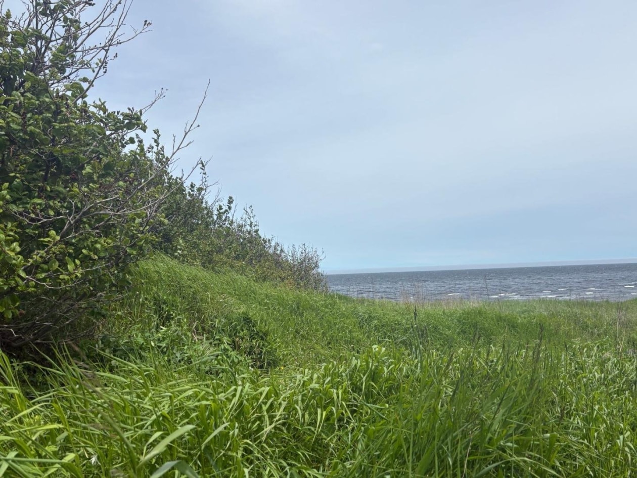 Photo 27 — 9Z Rue Dunn, Gaspé