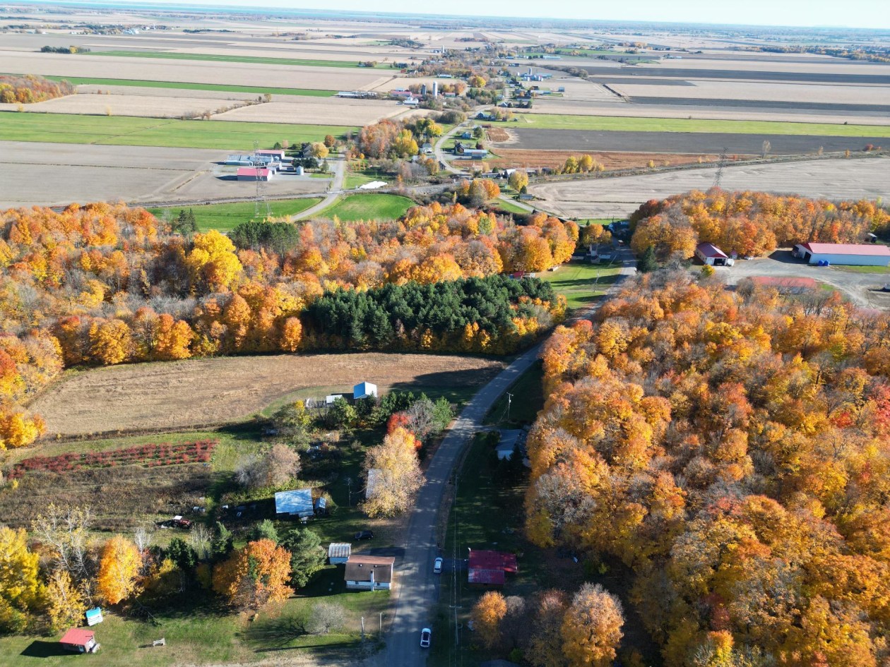 Vue d'ensemble — 880 Route Savoie, Saint-Justin