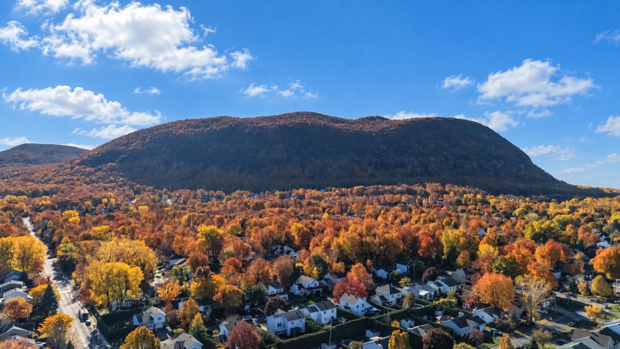 Photo 27 — 1076 Boul. Sir-Wilfrid-Laurier, Mont-Saint-Hilaire