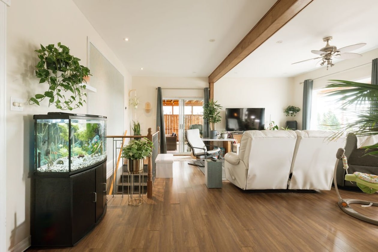 Salon — 5911 - 5913 Av. du Pont N., Alma