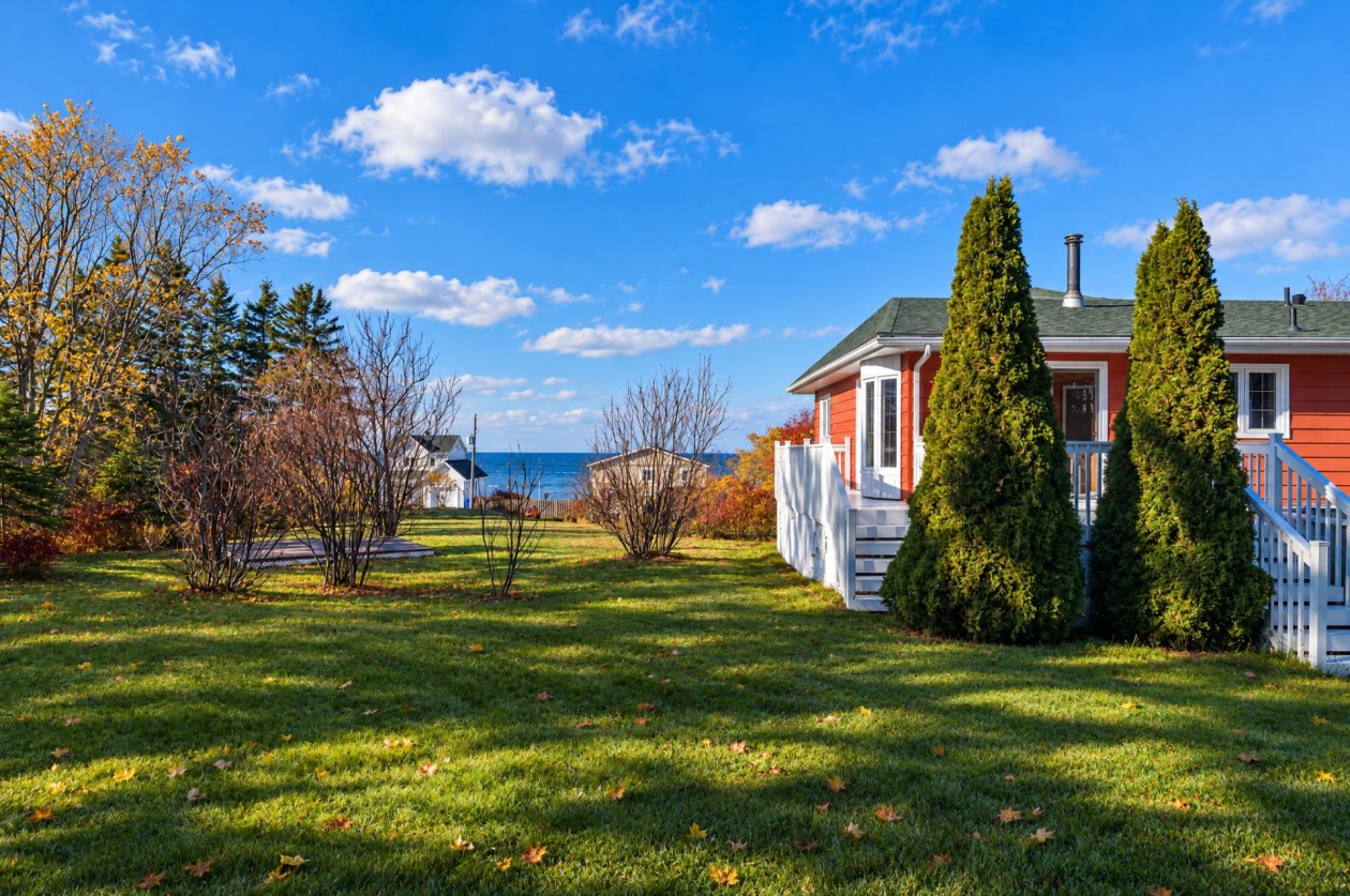 Cour — 255 Rue du Fleuve, Rimouski