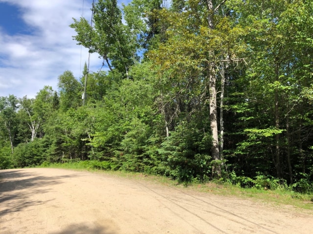 Terrain — ch des sureaux, nominingue, J0W 1R0, nominingue