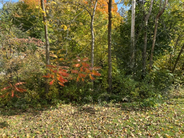 Photo 2 — 312 Rue Westward, Rosemère, J7A 1T1, Rosemère