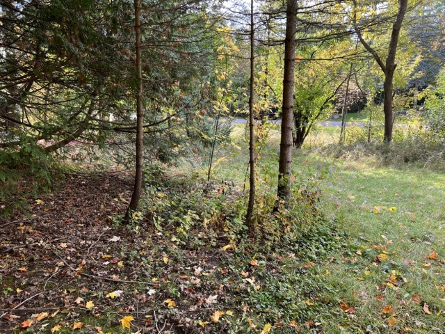 Photo 5 — 312 Rue Westward, Rosemère, J7A 1T1, Rosemère