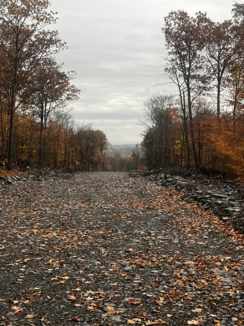 Photo 3 — Rue Du Merle, Gore, J0V 1K0, Gore