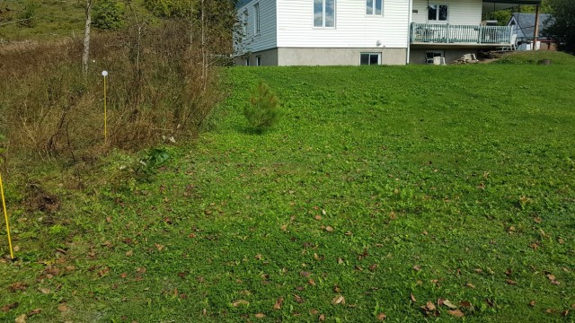 Photo 5 — 4063 Ch Des Chutes, La baie, G7b 3n8, La baie