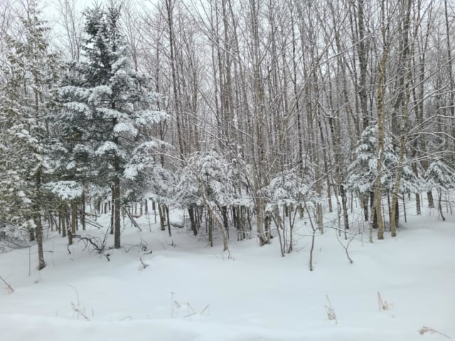 Photo 3 — 519 Ch Spring, Ascot Corner, J0B 1A0, Ascot Corner