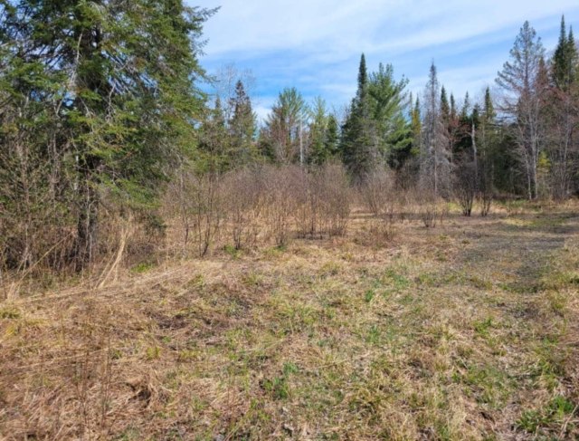 Photo 4 — 265 chemin Caron, Notre-Dame-de-Pontmain , J8V 3L8, Notre-Dame-de-Pontmain 