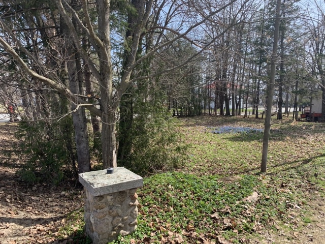 Photo 4 — Rue Grondin, Saint-Frédéric, G0N 1P0, Saint-Frédéric