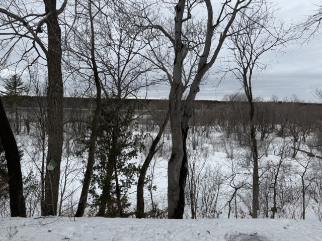 Face arrière — 3903 Av Saint-Augustin, Lévis, G6Z 8J4, Lévis