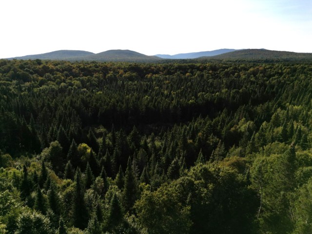 Vue d'ensemble — 91 chemin Rat Musqué, Notre-Dame-des-Bois, J0B 2E0, Notre-Dame-des-Bois