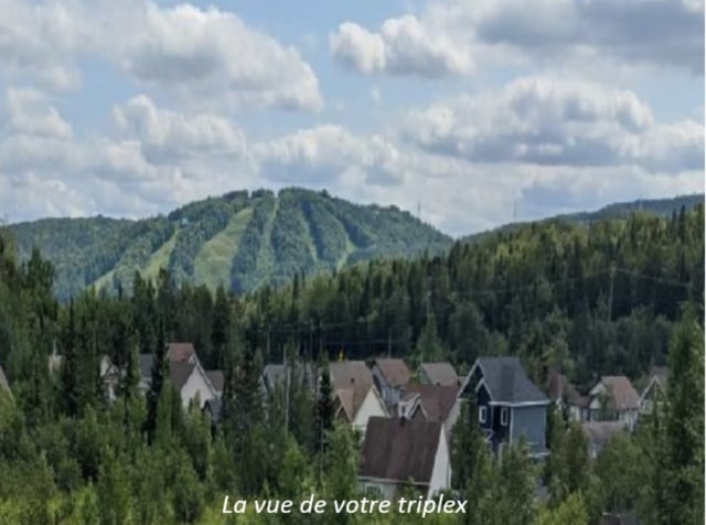 Photo 2 — rue Sentier-de-la-Tanière, Sainte-Adèle, J8B 2H6, Sainte-Adèle