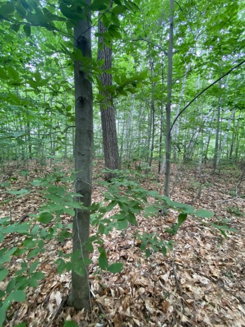 Photo 2 — 2327 Chem. de la Grande Côte, Sainte-Julienne, J0K 2T0, Sainte-Julienne