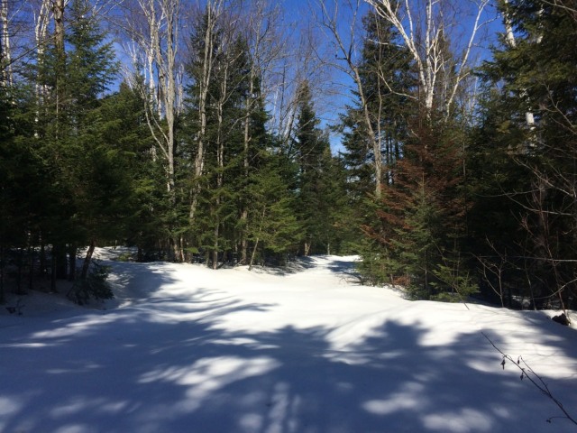 Terrain — Chemin du Lac-Pilon, Sainte-Adèle, J8B 1N8, Sainte-Adèle