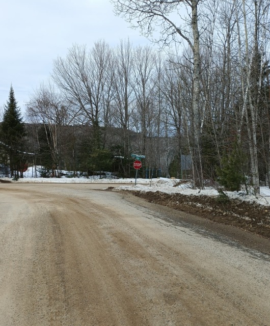 Rue — 137 Chemin de la Montagne, Mandeville, J0K 1L0, Mandeville