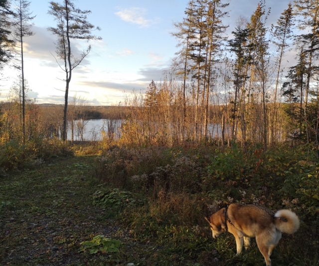 Photo 3 — Rue du Lac-Sartigan, Saint-Alfred, G0M 1L0, Saint-Alfred
