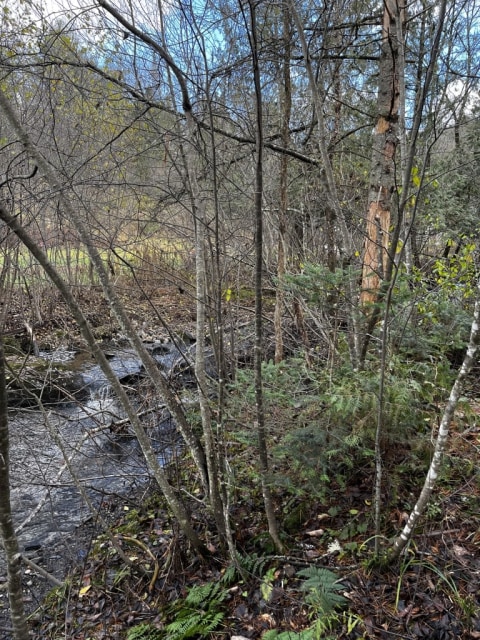 Photo 5 — 270 Chemin Brook , Canton de Cleveland, J0B 2h0, Canton de Cleveland