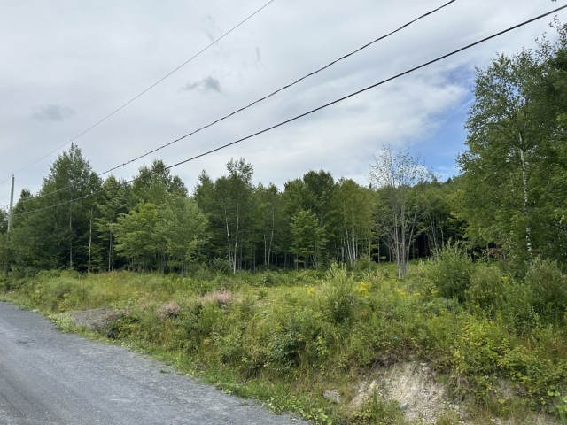 Photo 5 — 0 Rue Des Bosquets, Saint-Benjamin, G0M 1N0, Saint-Benjamin