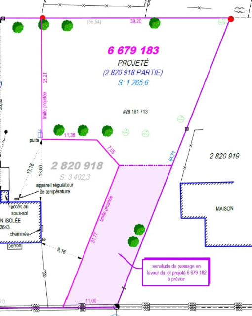 Terrain — 2643 Avenue Royale , Saint-Charles-de-Bellechasse, G0R 2T0, Saint-Charles-de-Bellechasse