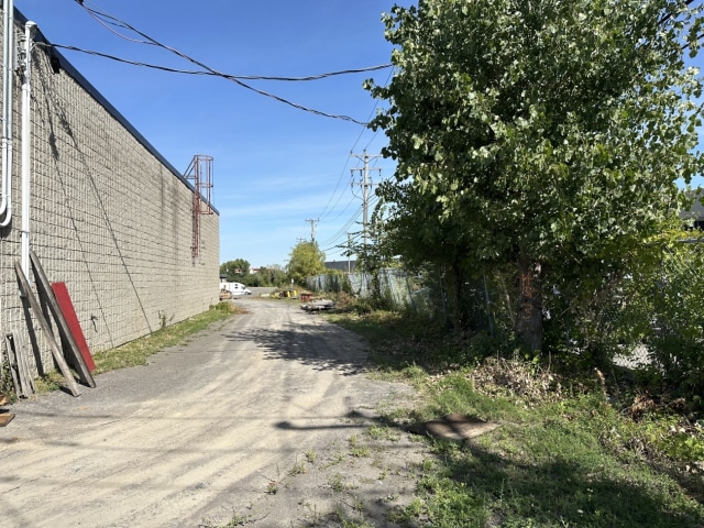 Photo 5 — 80 Av Leacock, Pointe-Claire, H9R 1H1, Pointe-Claire