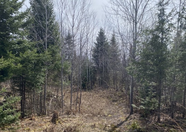Terrain — 7 rue de la Nature, Lac-Frontière, G0r 1T0, Lac-Frontière