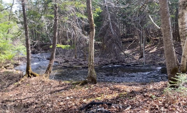 Terrain — 7 rue de la Nature, Lac-Frontière, G0r 1T0, Lac-Frontière