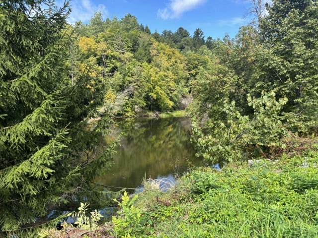 Photo 5 — 1780 Chemin de la sablière, Notre-Dame-de-Lourdes, J0K 1K0, Notre-Dame-de-Lourdes