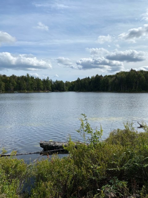 Photo 2 — Chem. des Lynx, Wentworth, J8H 0C7, Wentworth