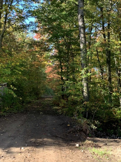 Photo 2 — Avenue de Saint-Thomas-de-Caxton, Yamachiche, G0X 2P0, Yamachiche
