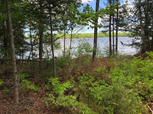 Photo 3 — 1310 chemin du Tour-du-Lac, Saint-Aimé-du-Lac-des-îles, J9L 3G7, Saint-Aimé-du-Lac-des-îles
