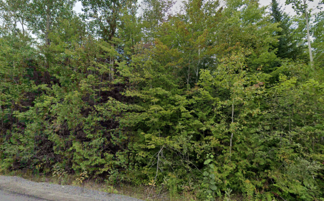Terrain — Chemin des Monts, Chertsey, J0K 3K0, Chertsey