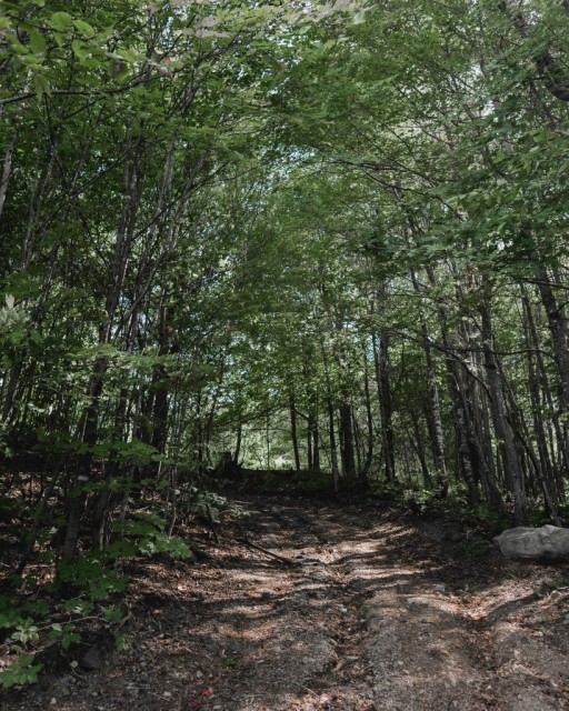 Photo 3 — Chemin du Panorama, Sainte-Agathe-des-monts, J8C 2Z8, Sainte-Agathe-des-monts