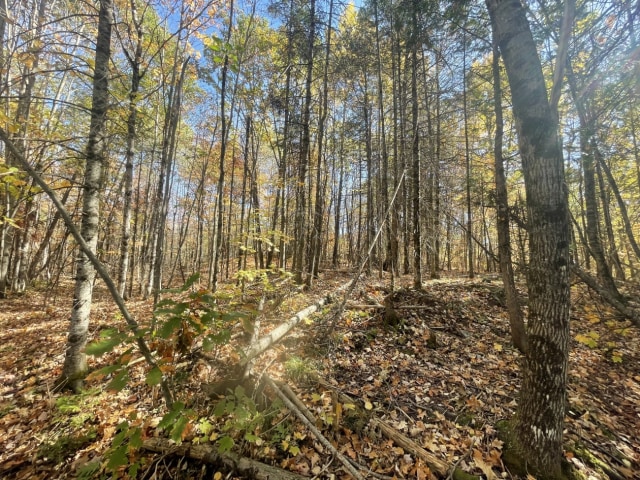 Photo 2 — Chemin Gaspard, L'Ange-Gardien, J8L 0G7, L'Ange-Gardien