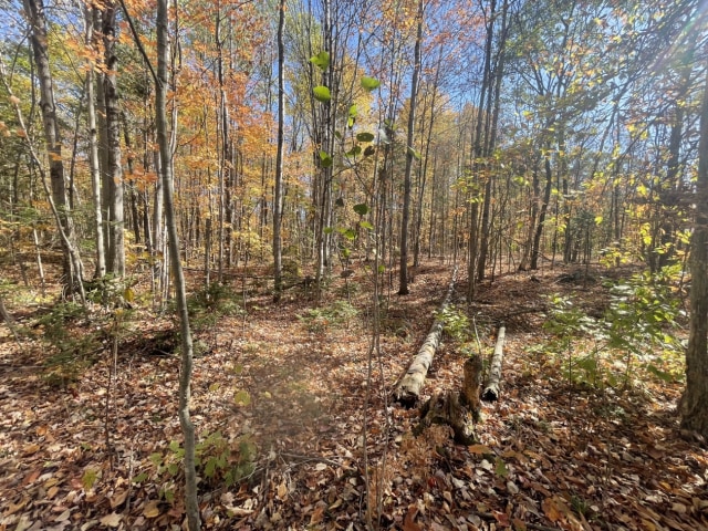Photo 5 — Chemin Gaspard, L'Ange-Gardien, J8L 0G7, L'Ange-Gardien