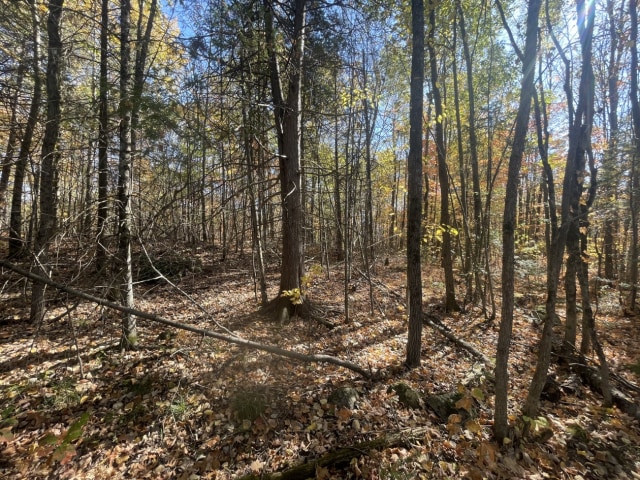 Photo 3 — Chemin Gaspard, L'Ange-Gardien, J8L 0G7, L'Ange-Gardien
