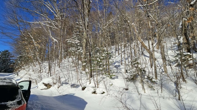 Photo 3 — Chemin des bouleaux, Saint-Adoplhe-D'Howard, J0T 2B0, Saint-Adoplhe-D'Howard
