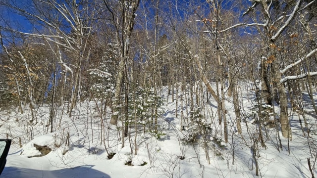Photo 2 — Chemin des bouleaux, Saint-Adoplhe-D'Howard, J0T 2B0, Saint-Adoplhe-D'Howard