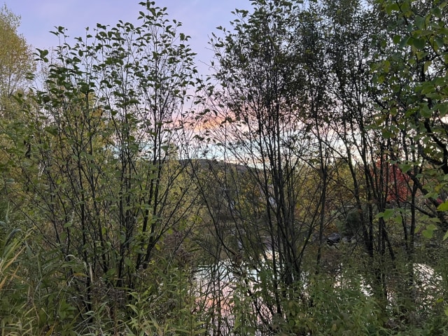 Terrain — Rue du Tournesol , Shefford, J2M 1K9, Shefford