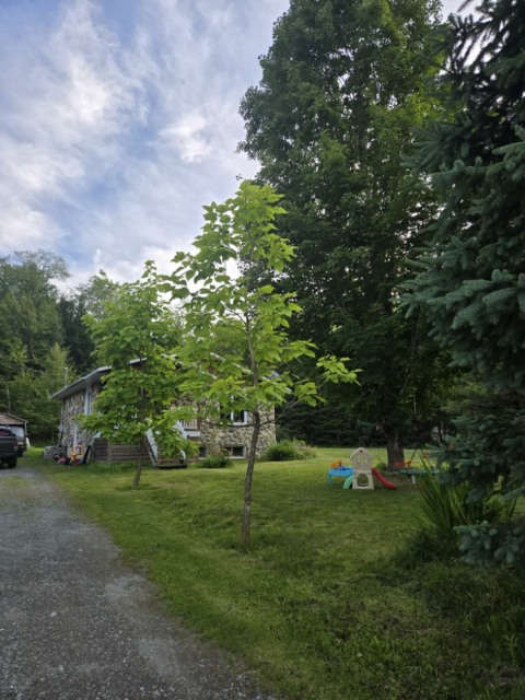Photo 3 — 6148 Rue Rodrigue, Sherbrooke, J1N 3A7, Sherbrooke