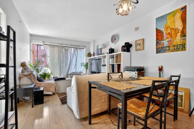 Photo 4 — 1248 Hôtel-de-Ville, 217, Montréal, H2X 3A9, Montréal