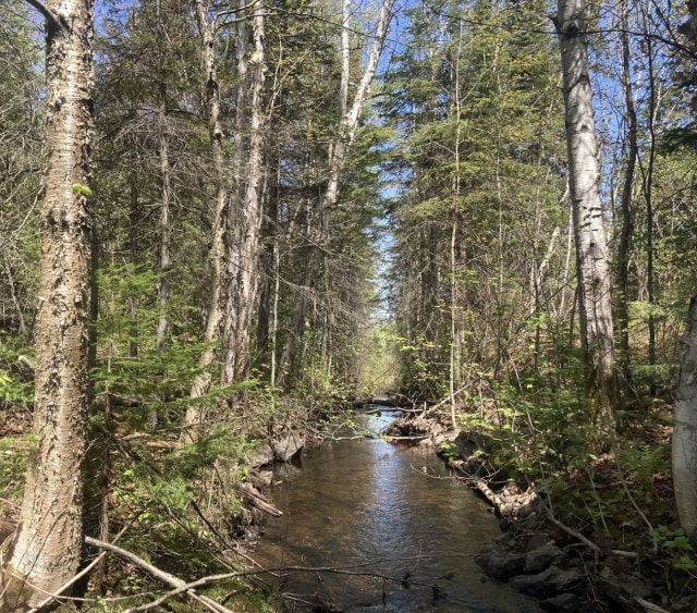 Photo 5 — QC-170, La Baie, G7B 3P6, La Baie