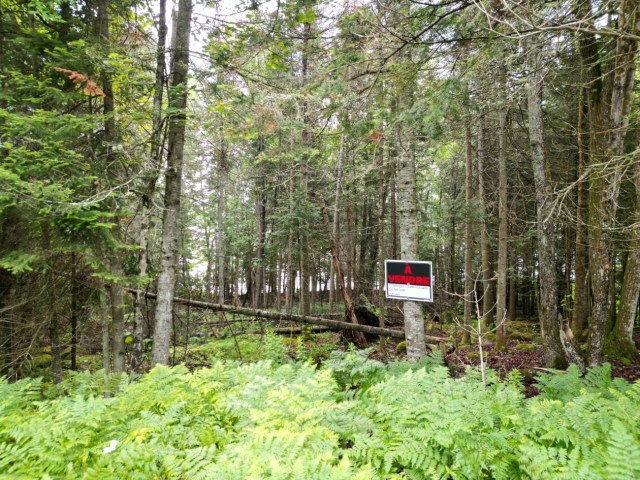 Photo 4 — Chemin des Sureaux , Nominingue, J0W 1R0, Nominingue