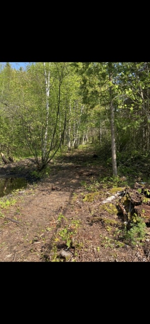 Photo 4 — Rue de la Poudrière, Shawinigan, G0X 1L0, Shawinigan