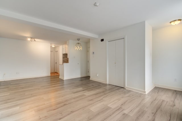 Salon — 2221 - 2227, Rue Panet, Montréal (Ville-Marie), H2L3A4, Montréal (Ville-Marie)