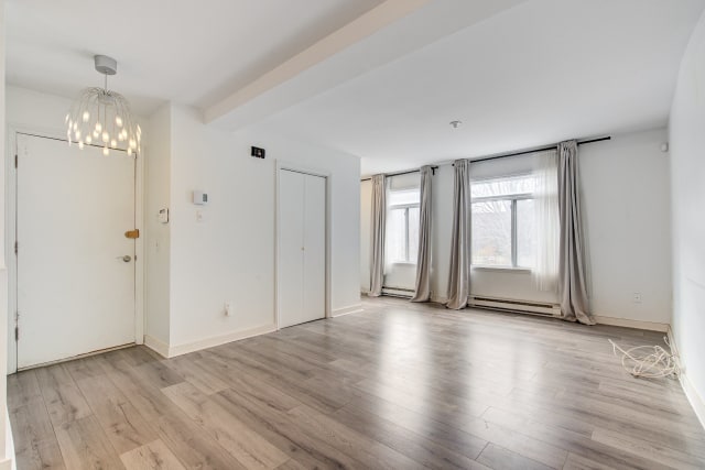 Salon — 2221 - 2227, Rue Panet, Montréal (Ville-Marie), H2L3A4, Montréal (Ville-Marie)