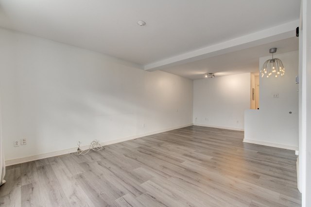 Salon — 2221 - 2227, Rue Panet, Montréal (Ville-Marie), H2L3A4, Montréal (Ville-Marie)