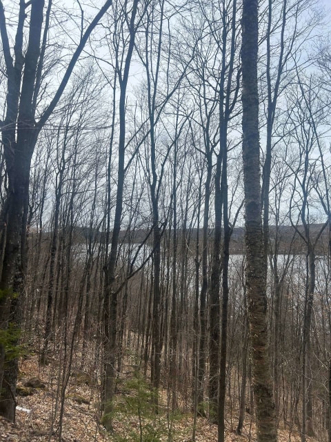 Photo 4 — Ch. Prébois, Saint-Damien, J0K2E0, Saint-Damien